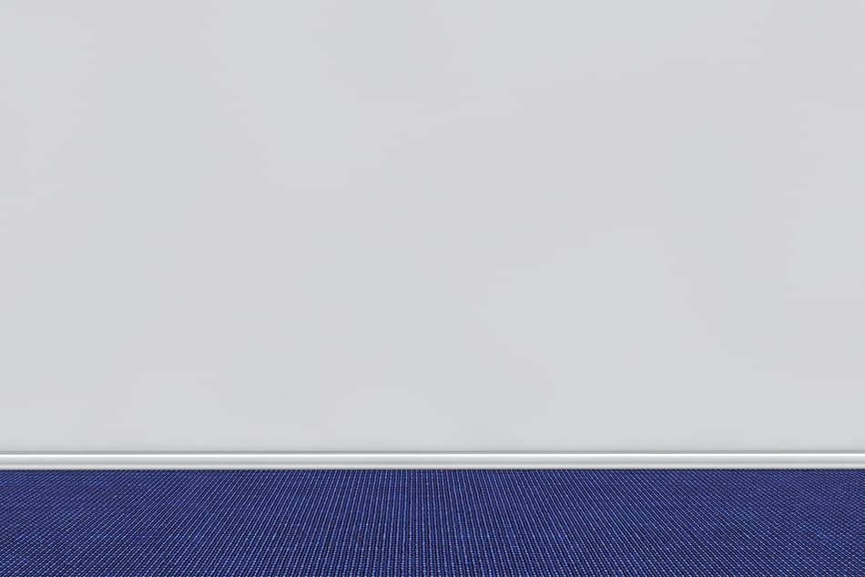Blue Carpet for Light Gray Walls