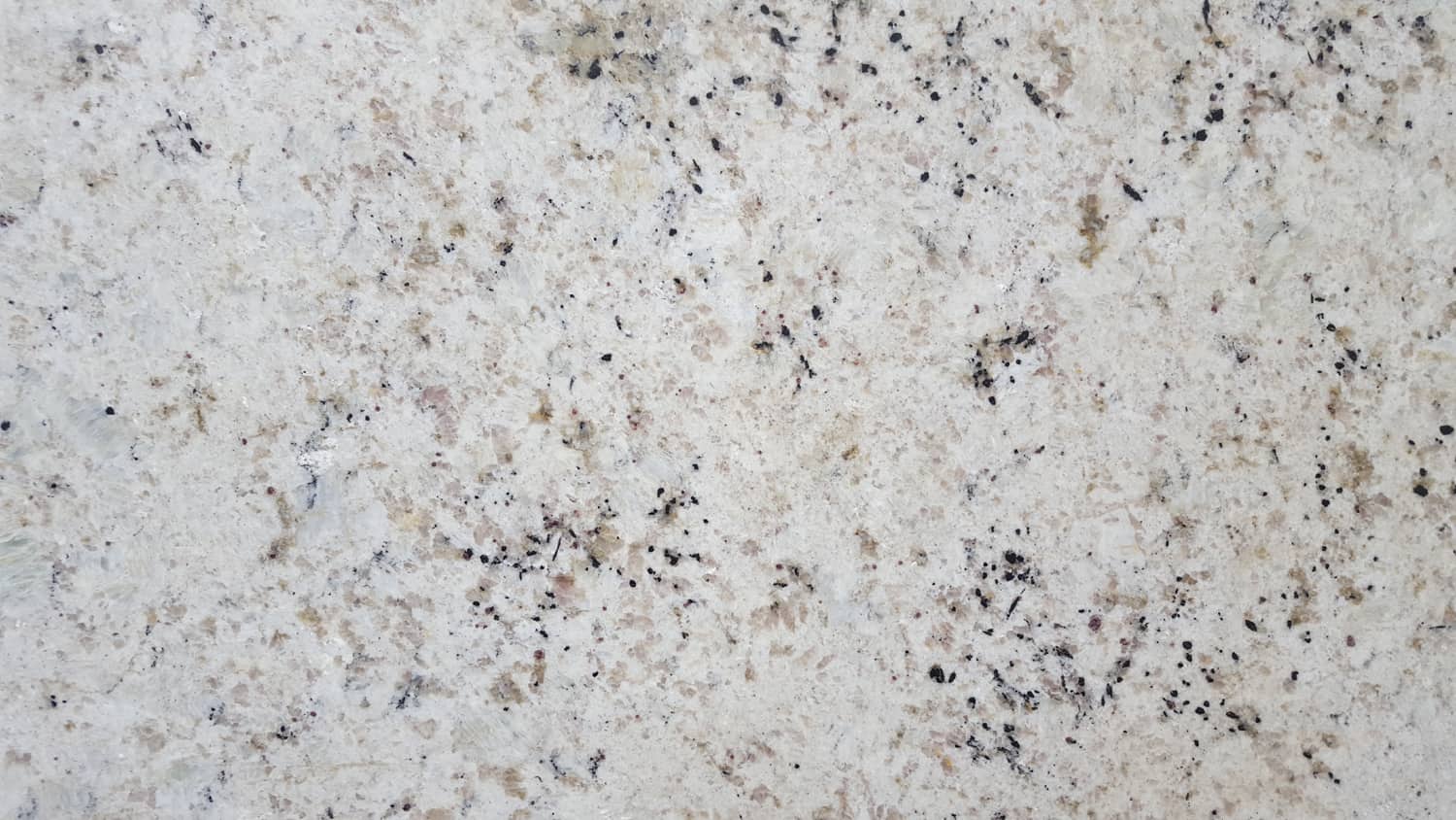 25 White Granite Countertop Colors For Kitchen Homenish