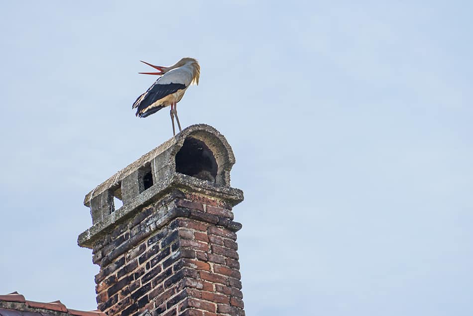 Curved Top Chimneys