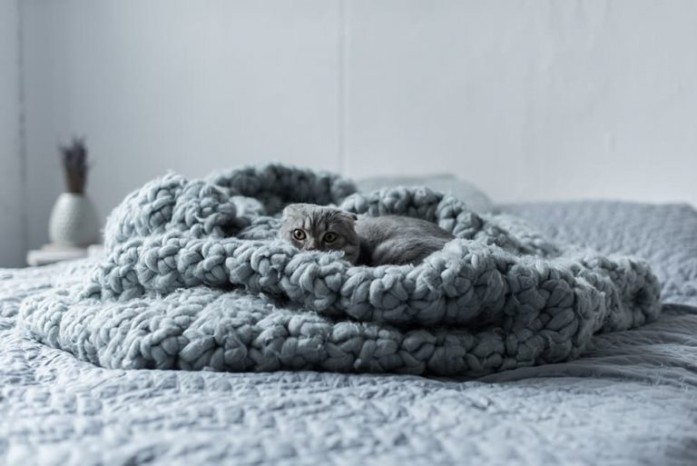 19 Types of Blankets For the Most Comfortable Sleep (with Pictures