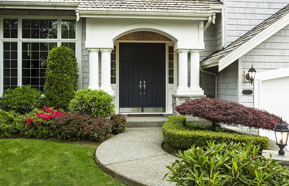 Double-front door in black