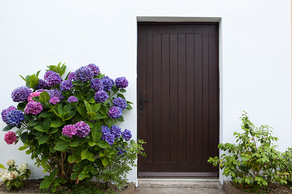 Durable hardwood front door