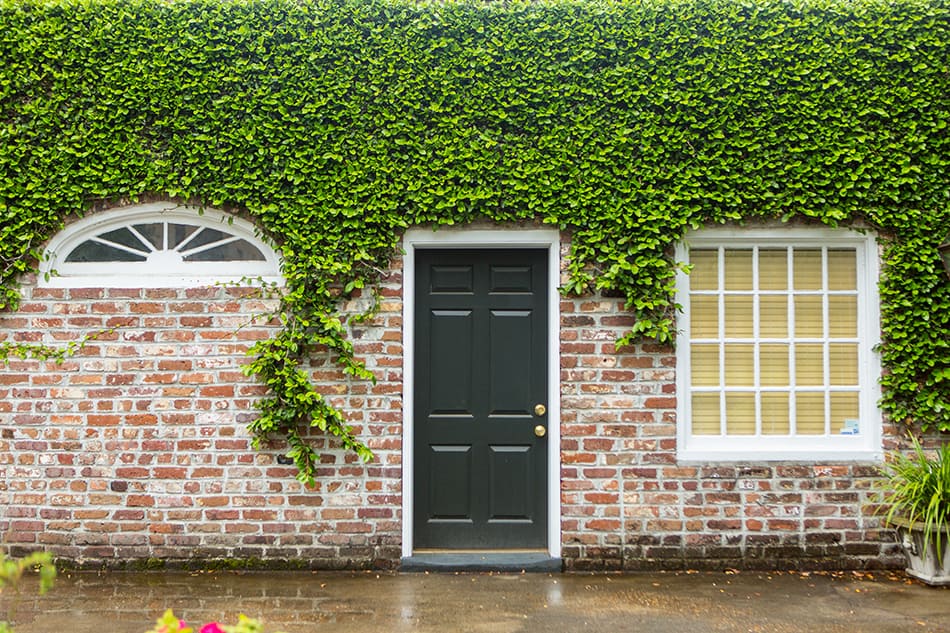 Fiberglass front door in black for aesthetic appeal