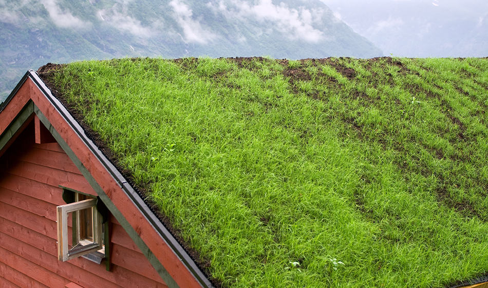 Green Shingles