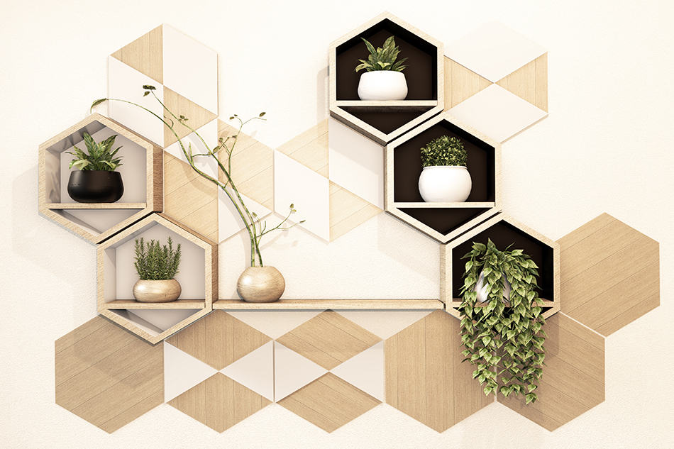 Hexagon shelves decorated with plants