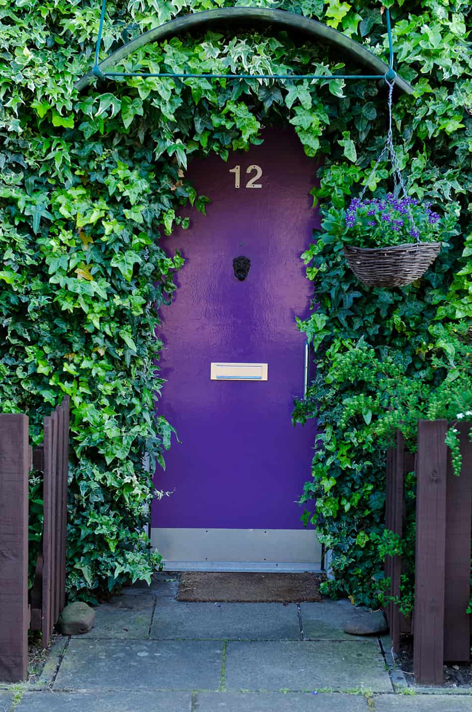 Purple Door Decorated with Hanging Plants