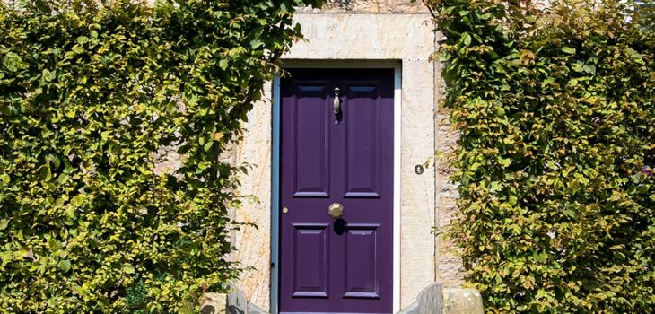 17 Purple Front Door Ideas to Make Your Home More Inviting