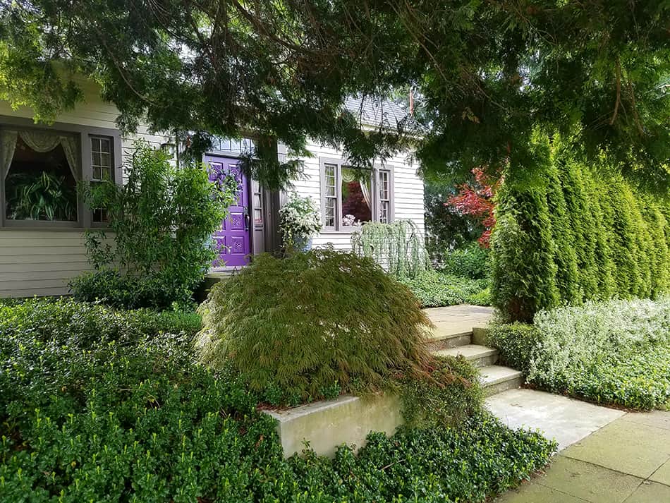 Raised Purple Door with a Landscaped Exterior 