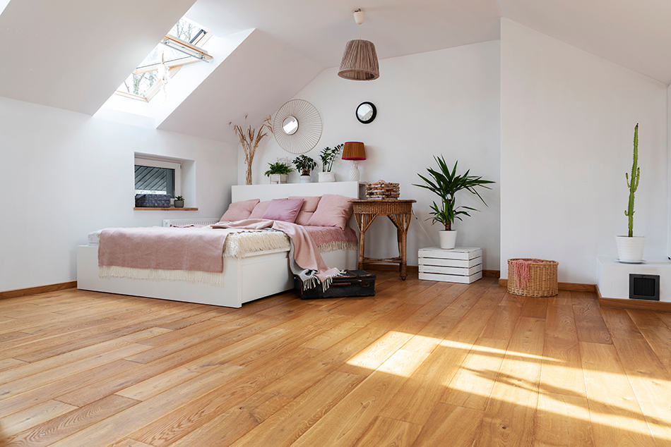 Shed Ceilings