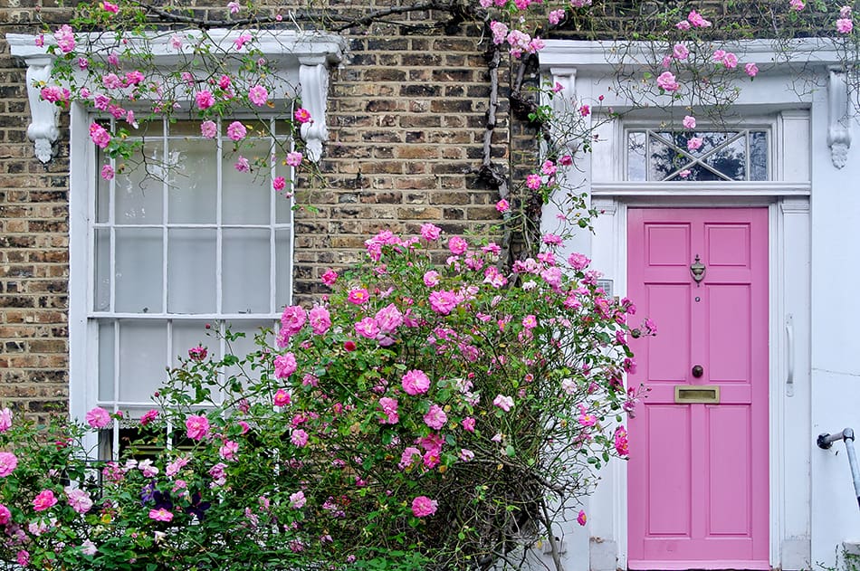 Bold Pink with Pink Flowers