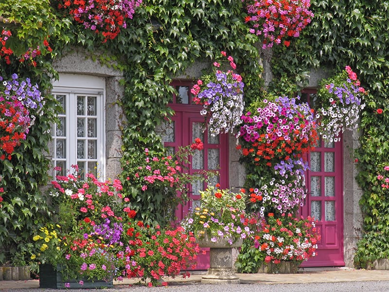 Classy Pink with a Floral Theme