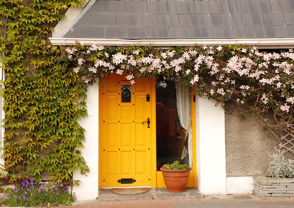 Golden Yellow with a Neutral Exterior