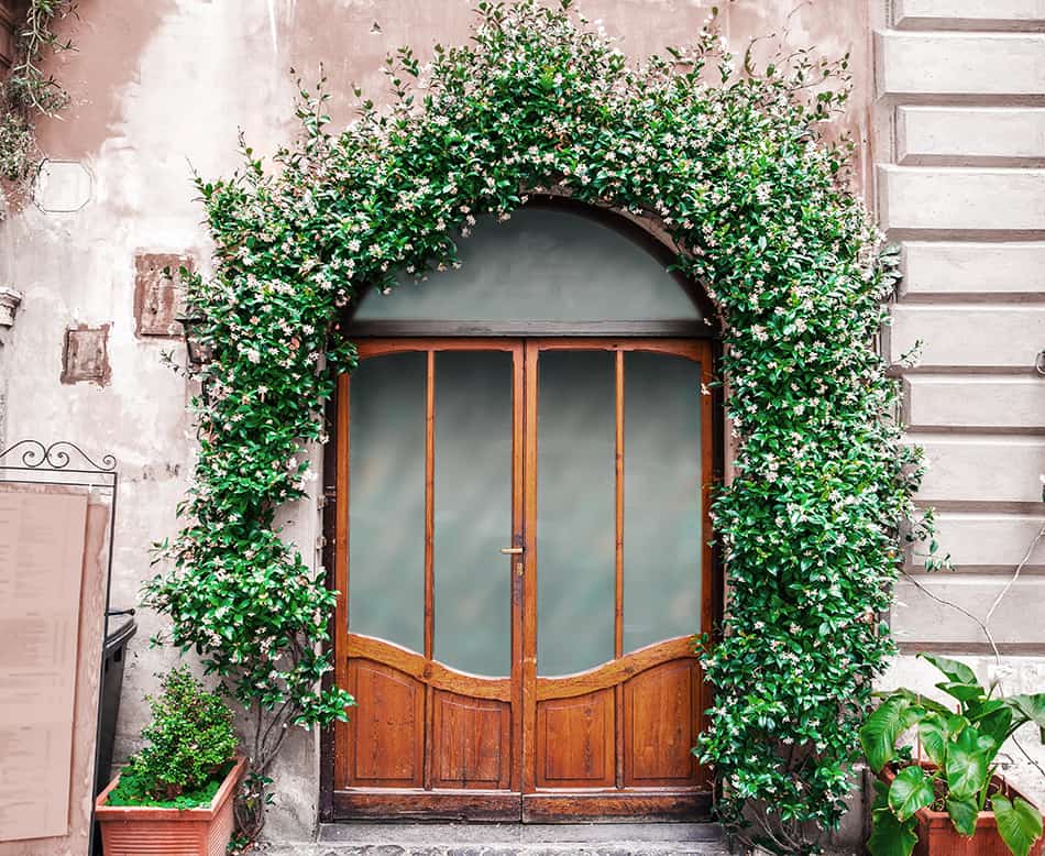 Orange Double Door with Greenery for a Welcoming Entrance