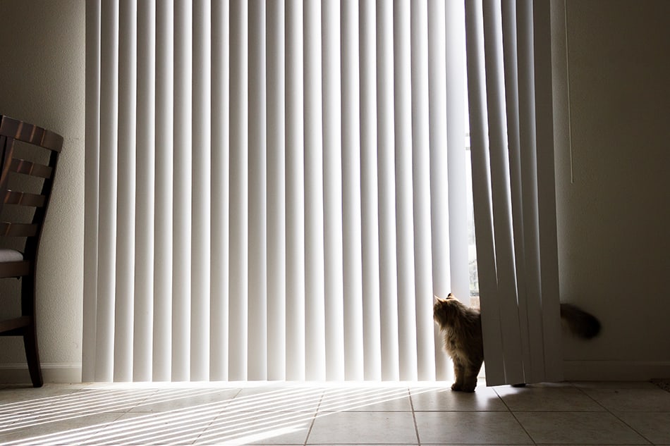 Vertical Blinds