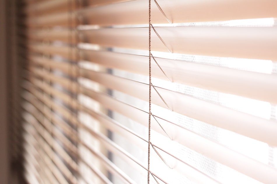 Vinyl Blinds