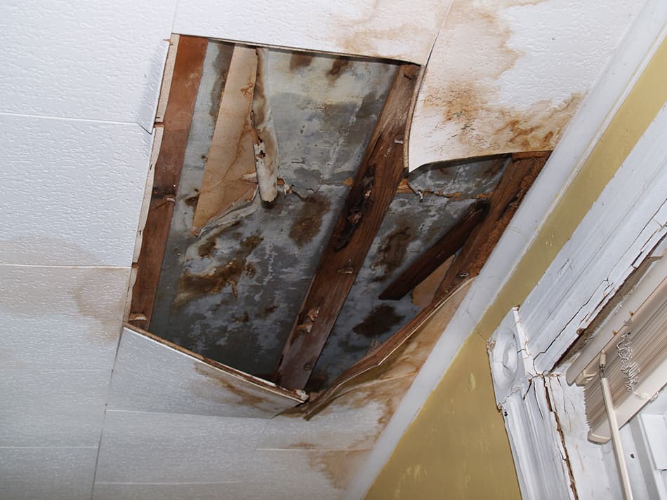 Consequences of a Water Leak