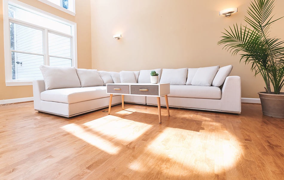 Living Room with Sectional Sofas