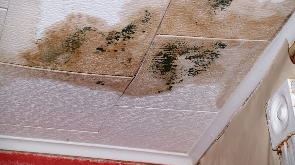 Common Causes of Water Stains on Ceiling & How to Fix Them - Homenish
