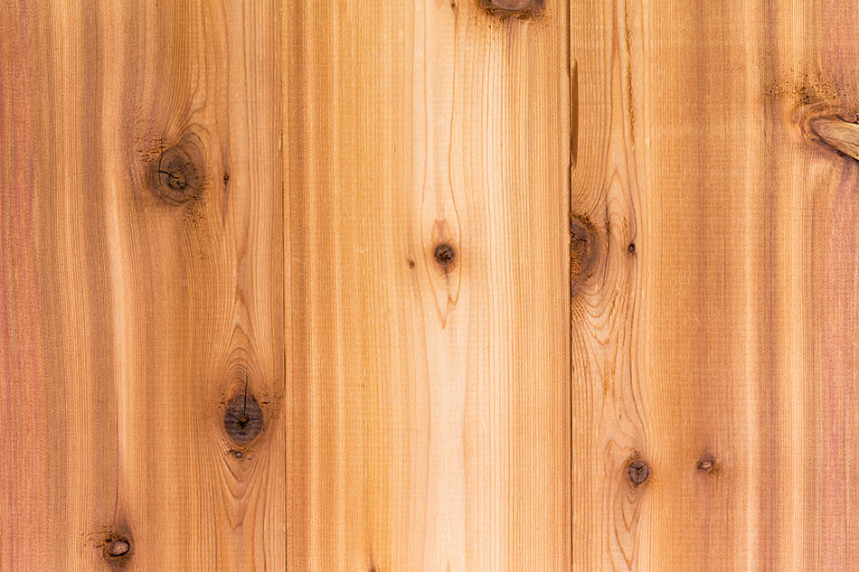 Cedar