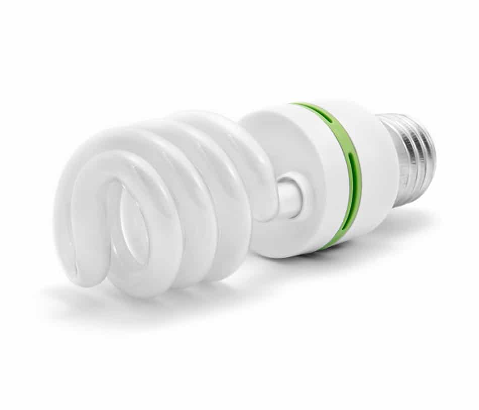 Compact Fluorescent Light Bulbs