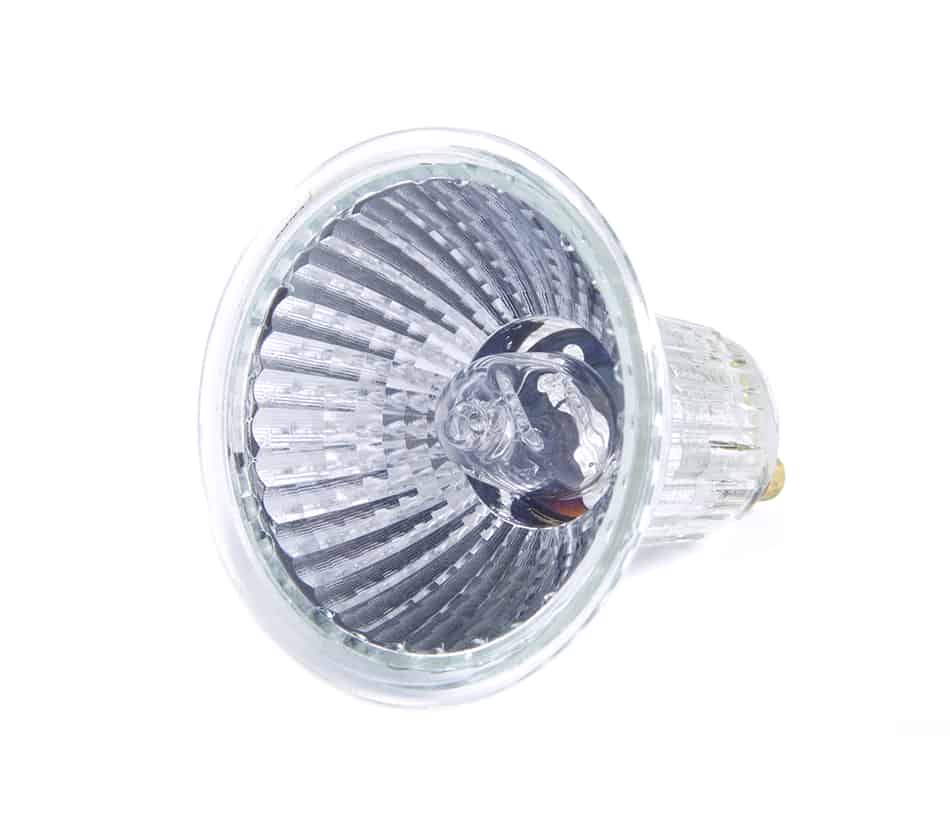 Halogen Light Bulbs