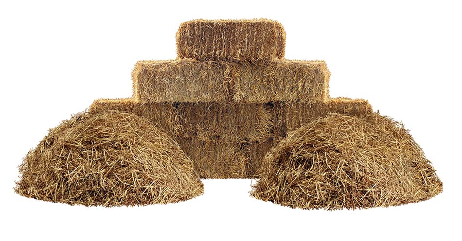 Straw Bale