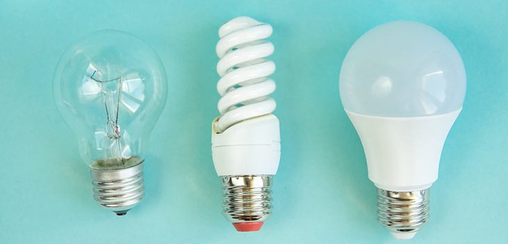 Types of Light Bulbs