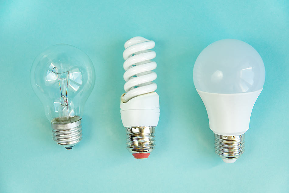 Types of Light Bulbs