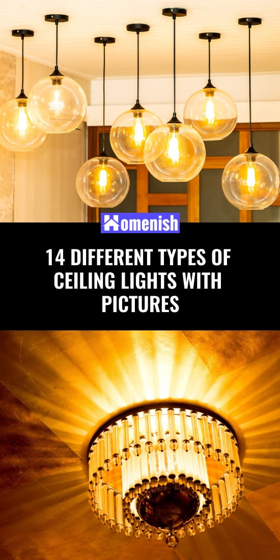 14 Different Types of Ceiling Lights with Pictures