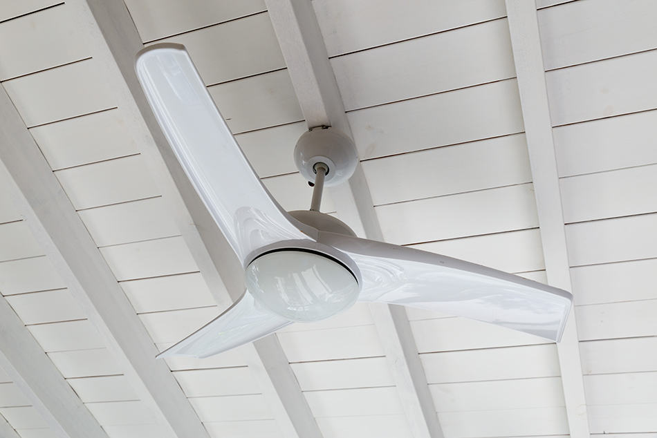 Ceiling Fans