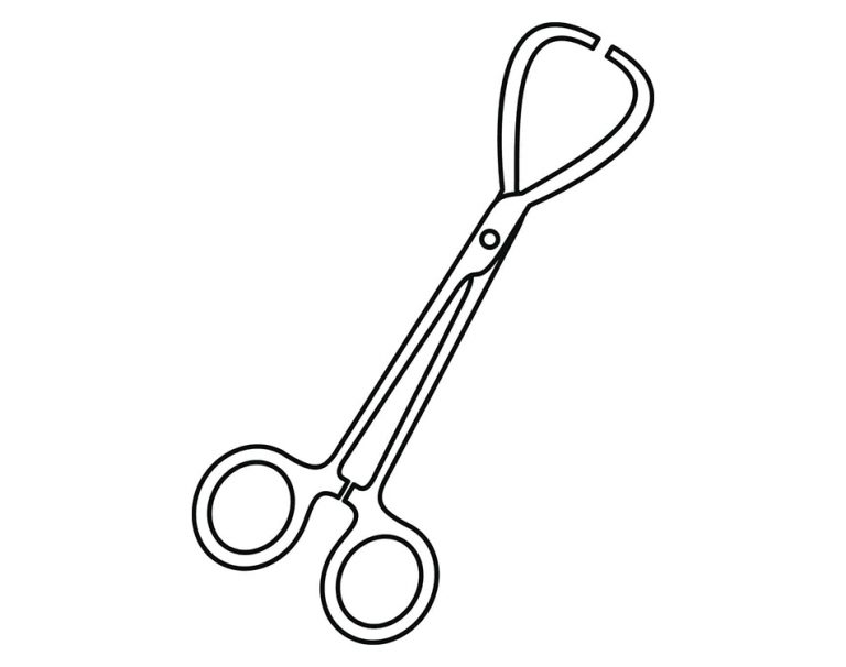 36 Different Types of Clamps with Pictures & Uses Homenish