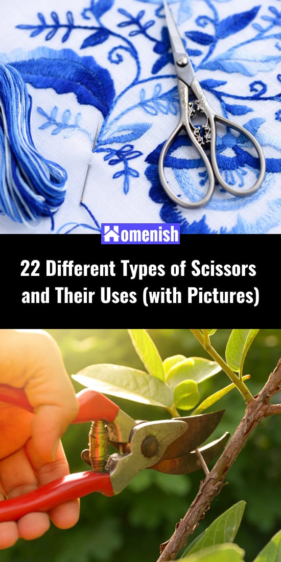 22 Different Types of Scissors and Their Uses (with Pictures)