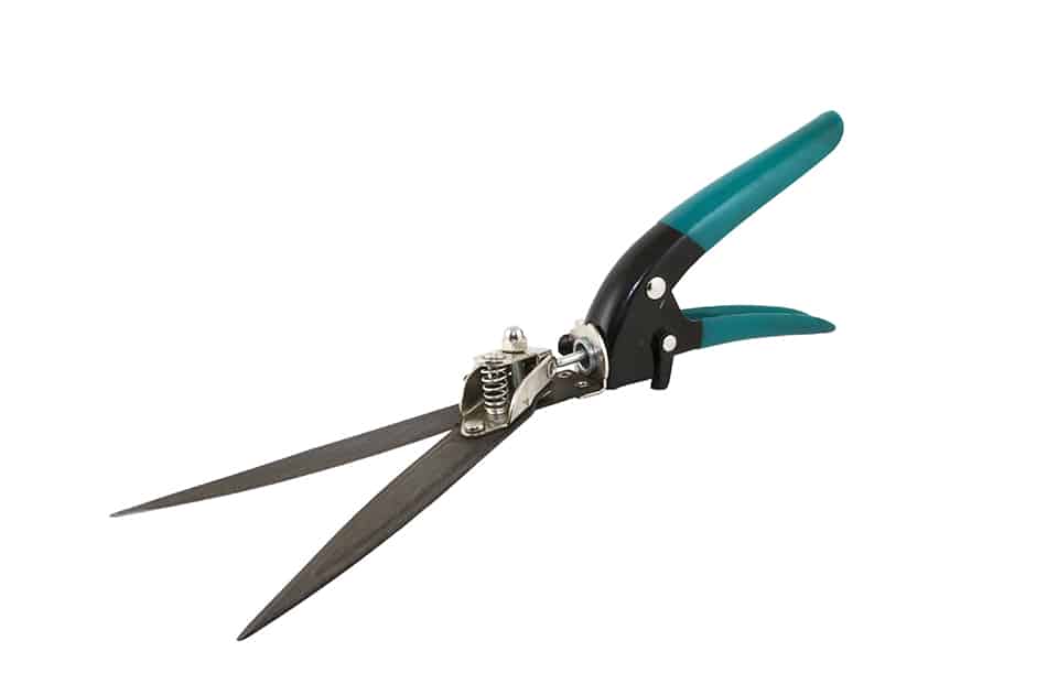 Grass Shears