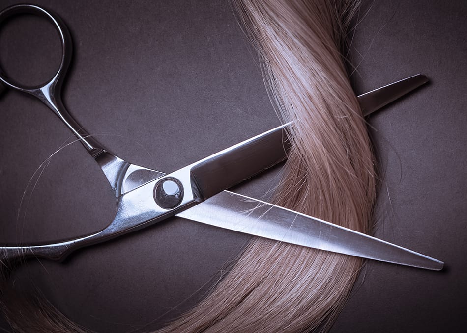 Haircutting Shears