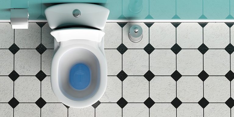 Different Types of Toilets for the Bathroom with Pictures - Homenish