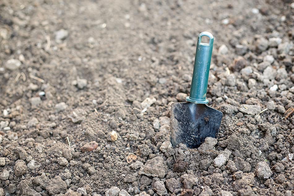 30 Different Types Of Tools Power Hand Gardening Tools With Pictures