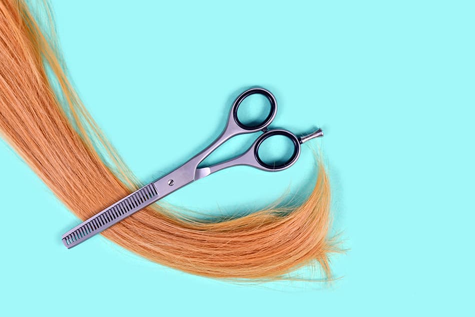 Thinning Scissors