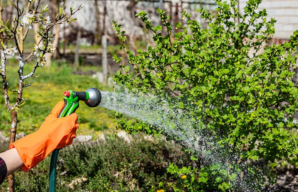 Watering Tools