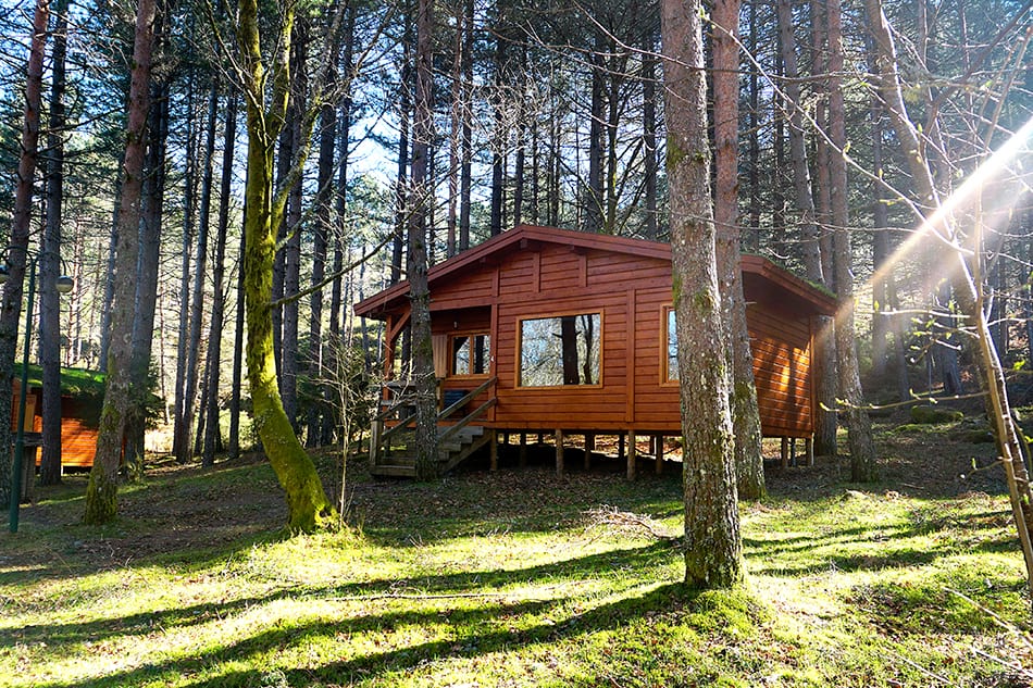 Cabin
