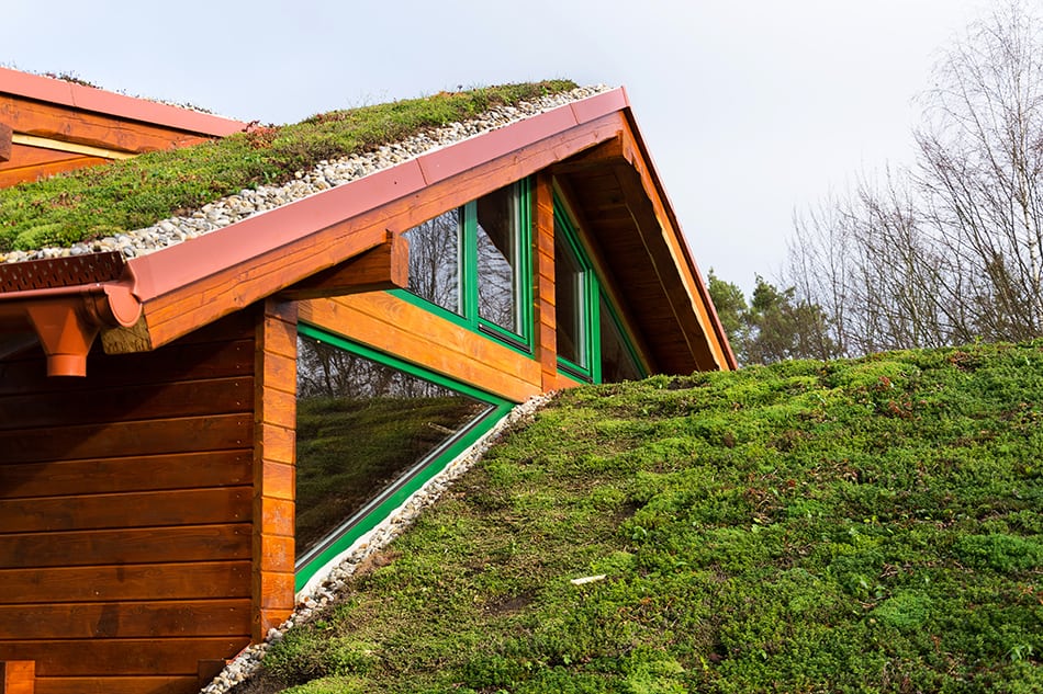 Green roofs