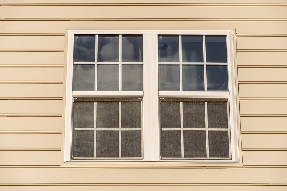 Sash Window