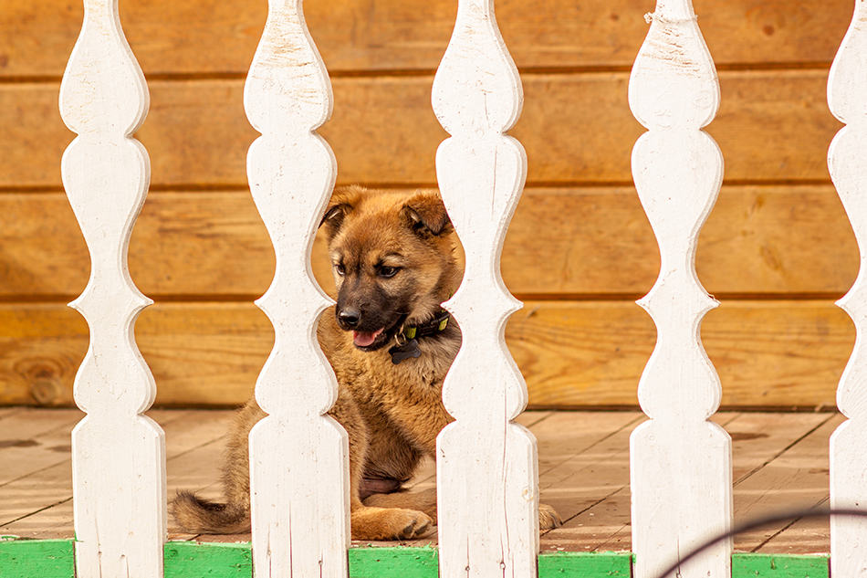 Wooden Porch with White Sawn Balusters