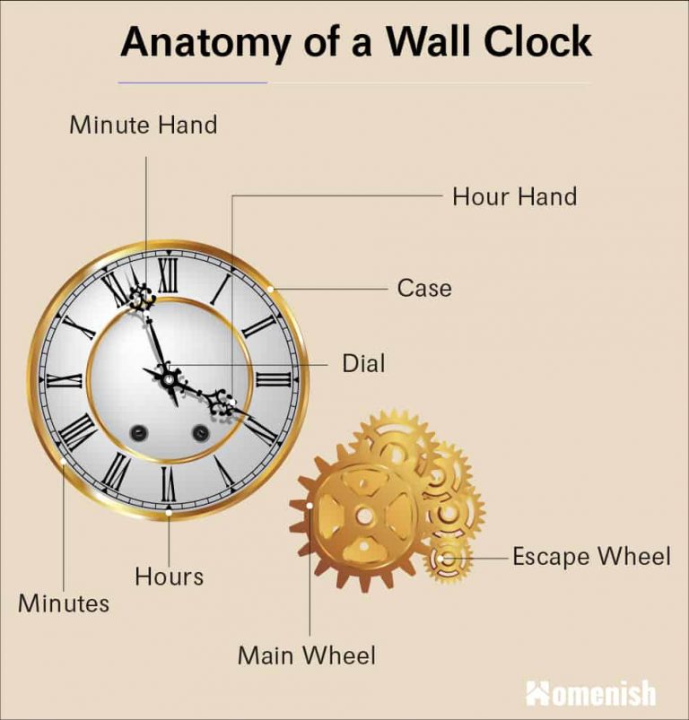 Parts of a Wall Clock Explained Homenish
