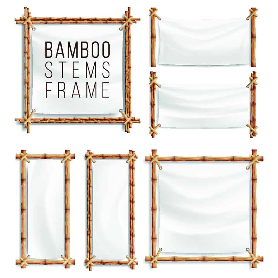 Bamboo Framed Prints