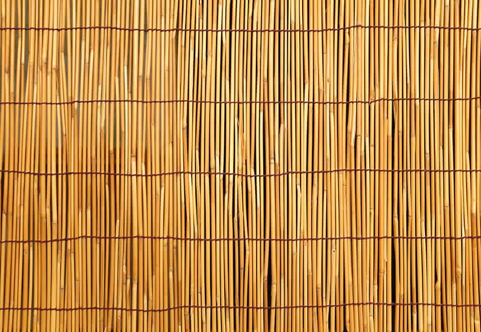 Bamboo as a Room Divider