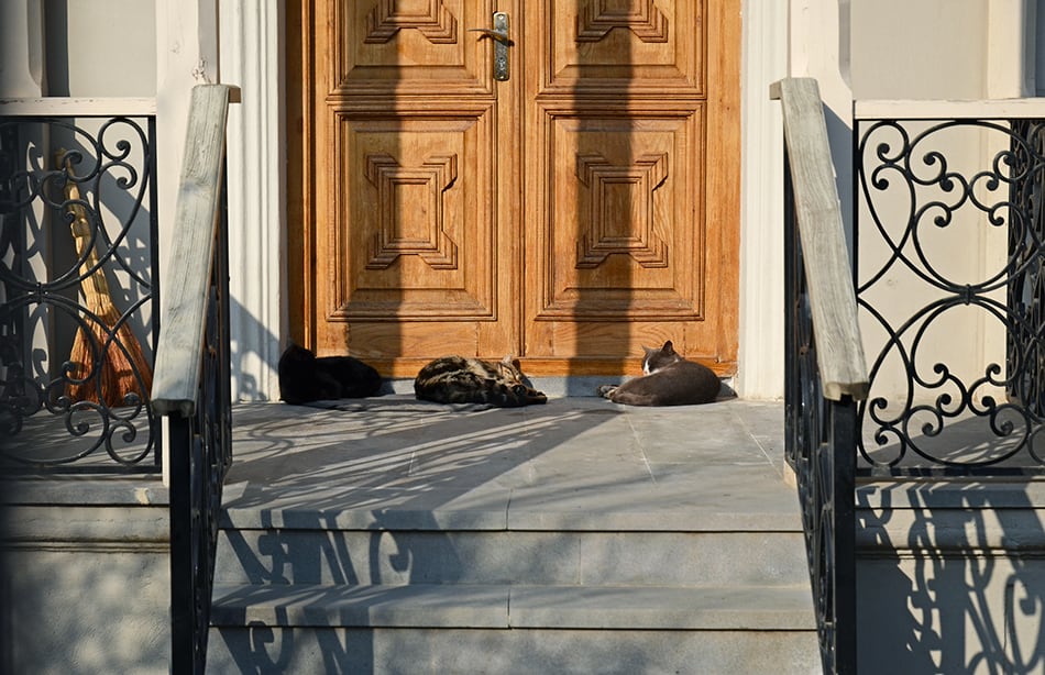 Concrete Porch with Wrought Iron Railings