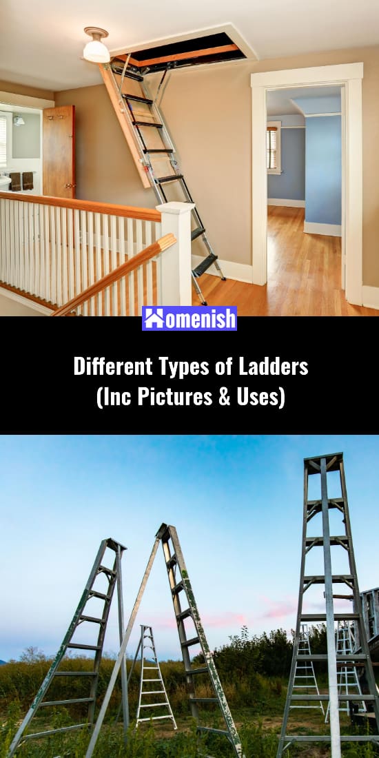 Different Types of Ladders