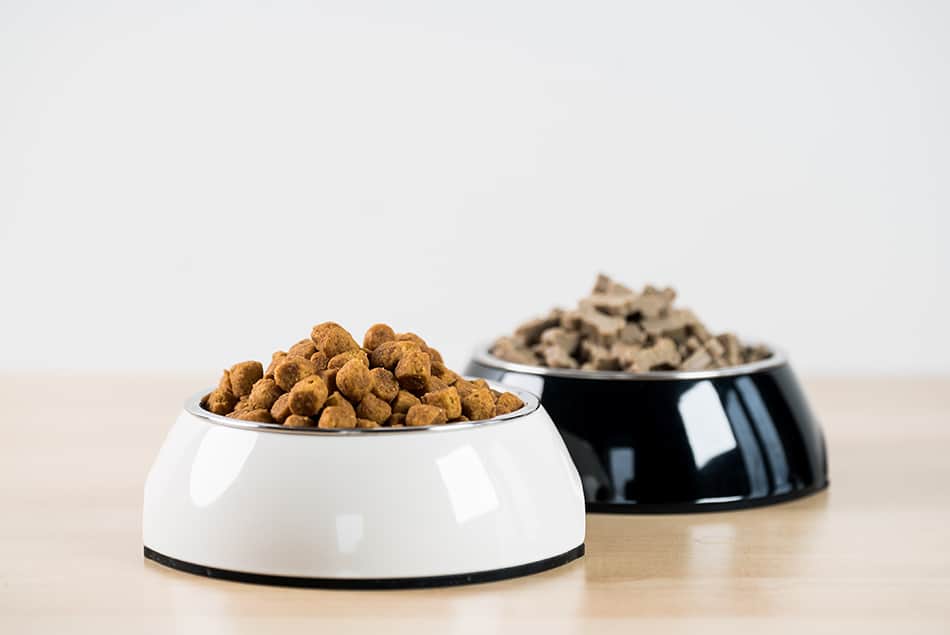 Pet Bowls