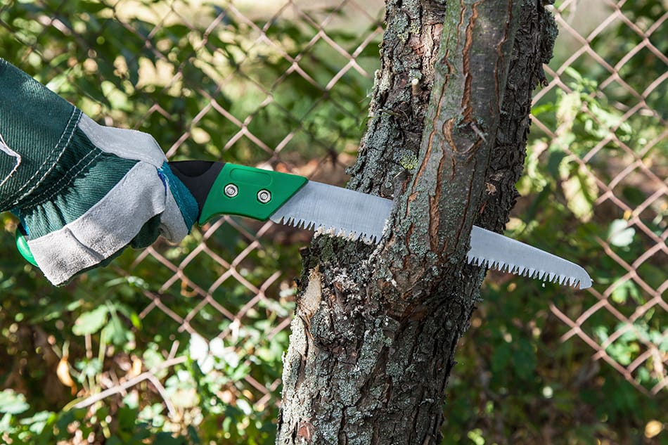 Pruning Saw