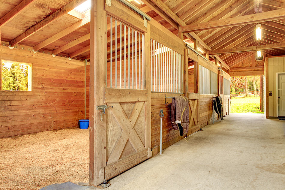 Horse Barns